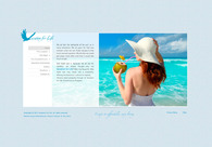 A great web design by Genesis Creatives, Basseterre, Saint Kitts And Nevis: 