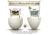 A great web design by KilMil, Los Angeles, CA: 