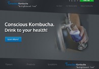 A great web design by EmilioTelevision.com, New York, NY: 