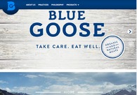 A great web design by The Development Factory, Los Angeles, CA: 