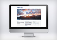 A great web design by Synergy Networx, New York, NY: 