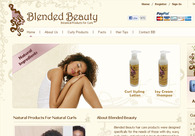 A great web design by Biztech Consulting & Solutions, Ahmedabad, India: Website, E-Commerce
, Technology
, PHP
