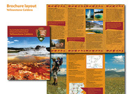 A great web design by Olena Beloous, Denver, CO: 