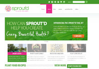 A great web design by Think Conceive, Dallas, TX: 