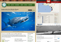 A great web design by Aldo Alfaro, Mexico, Mexico: 