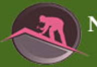 A great web design by Next Step Web Solution, Toronto, Canada: 