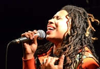 A great web design by Forces of Obvious Luck Media, Sioux City, IA: 