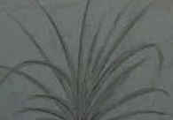 A great web design by Grigory Ryazanov, Saint Petersburg, Russia: 