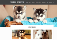 A great web design by Reston Web Design, Washington DC, DC: 