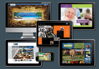 A great web design by TDS Design Group, Orange County, CA: 