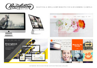 A great web design by Revolution Media Group, San Francisco, CA: Responsive Website, Portfolio
, Wordpress
