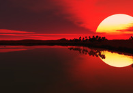 A great web design by Alexandros Company, Vancouver, Canada: 