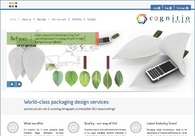 A great web design by Cognitio Design, Ahmedabad, India: 