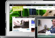 A great web design by SightWorks, Portland, OR: Responsive Website