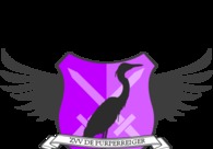 A great web design by ZVV De Purperreiger, Groningen, Netherlands: 