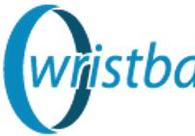 A great web design by Wristbands City, Grandville, MI: 