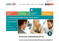 A great web design by Web Loft Designs, Dallas, TX: 