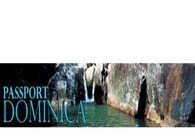 A great web design by PassportDominica, New York, NY: 
