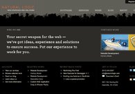 A great web design by Natural Logic, Nashville, TN: 
