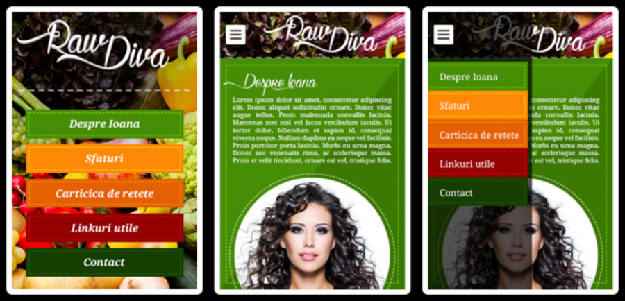 A great web design by Zades graphic, Brasov, Romania: 