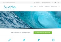 A great web design by Blue Mar Web Design, Orange County, CA: Responsive Website, Portfolio
, Service
, Wordpress
