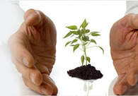 A great web design by Dream Web Solution, Brisbane, Australia: 