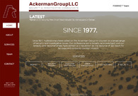 A great web design by IntelBoss, Los Angeles, CA: 