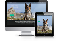 A great web design by Chulado, Baltimore, MD: Responsive Website, Marketing Website
, Entertainment
, Static HTML
