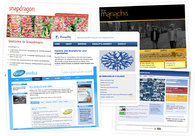 A great web design by Paul Stone Design, London, United Kingdom: 