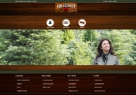 A great web design by Nyberg Technology, Fresno, CA: 