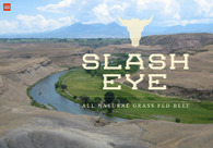 A great web design by sdg, Denver, CO: 