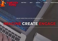 A great web design by Twisted Puppy, Los Angeles, CA: 