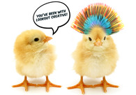 A great web design by LOOKOUT CREATIVE, London, United Kingdom: 