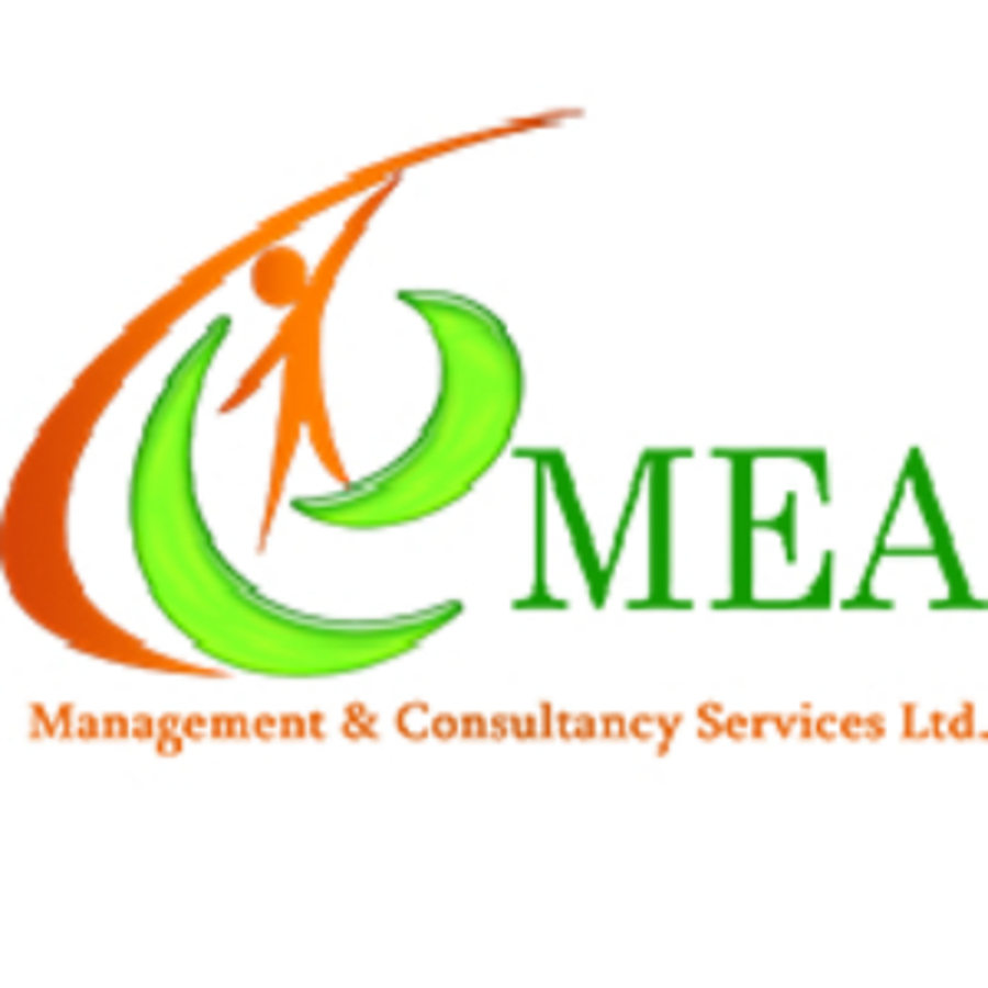 A great web design by EMEA MCS, Dubai, United Arab Emirates: 