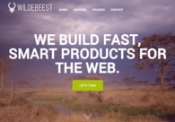 A great web design by Wildebeest, Los Angeles, CA: 