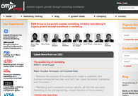 A great web design by Brackish Lake, Chicago, IL: 