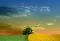 A great web design by Unique Photography, Portland, OR: 