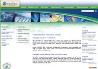 A great web design by Evolve Systems, Minneapolis, MN: 