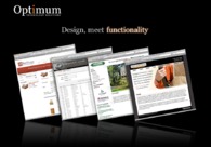 A great web design by Optimum Technology Solutions, Tallahassee, FL: 
