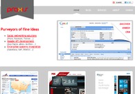 A great web design by Praxis Information Science, Austin, TX: 