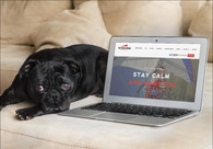 A great web design by Prompt Internet Solutions, LLC, Detroit, MI: Responsive Website, Marketing Website
, Entertainment
, Wordpress
