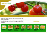 A great web design by Webzone Global, Bangalore, India: 