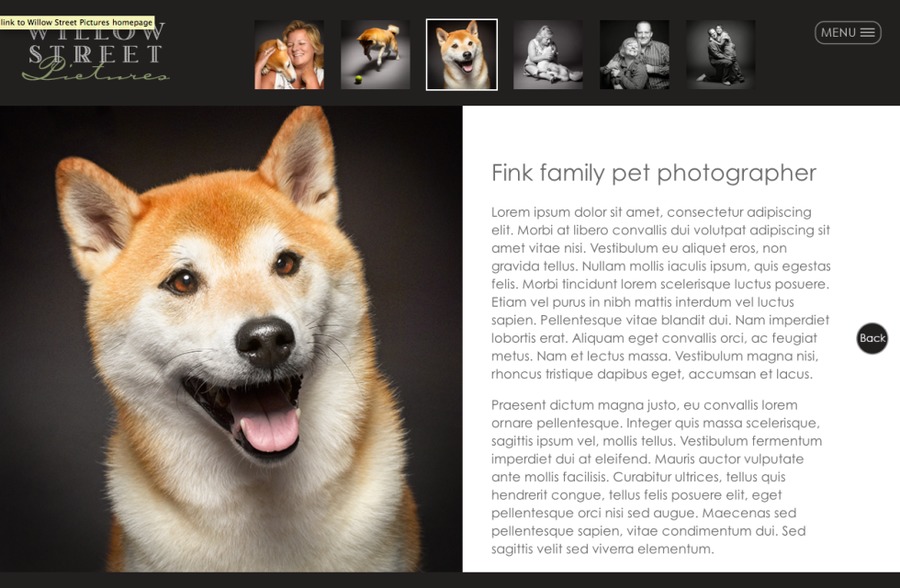 A great web design by WP BackOffice, Cherry Hill, NJ: Responsive Website, Portfolio
, Film & Video
, Wordpress
