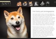 A great web design by WP BackOffice, Cherry Hill, NJ: Responsive Website, Portfolio
, Film & Video
, Wordpress
