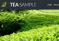 A great web design by Wegner Productions, Scottsdale, AZ: 