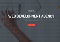 A great web design by Calipus Software Pvt Ltd, New Delhi, India: Responsive Website, Web Application
, Technology
, Wordpress
