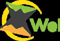 A great web design by Web Media Star, Mcallen, TX: 