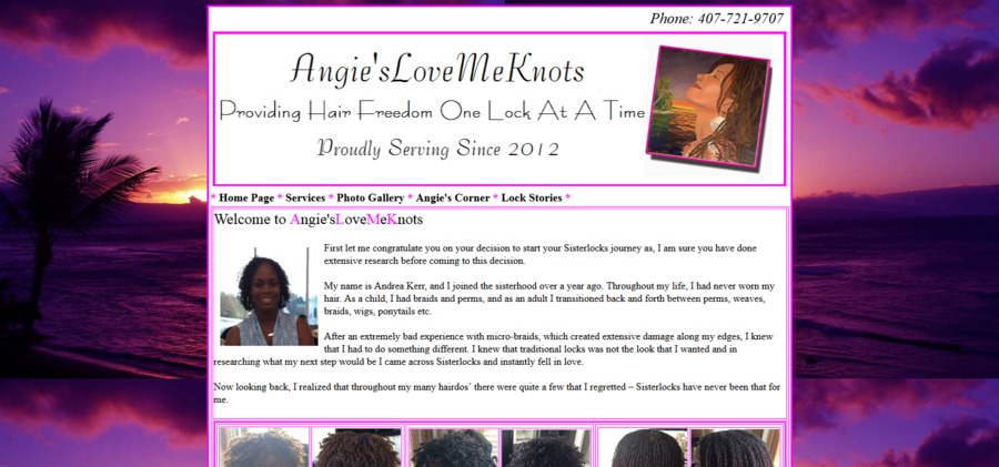 A great web design by Web Designs by Christina, Orlando, FL: 