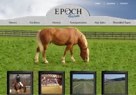 A great web design by Onesto Web Development, Reisterstown, MD: 