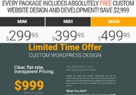 A great web design by BIZ2WEB, Chicago, IL: 